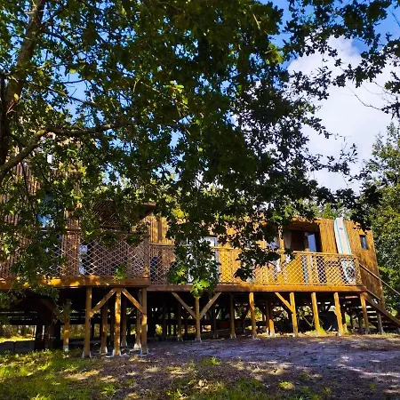 Tatil Evi Domaine Construction Bois Sur Pilotis Dans Chenaie Proche Ocean *