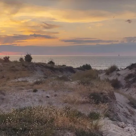 Domaine Construction Bois Sur Pilotis Dans Chenaie Proche Ocean Σπίτι διακοπών *